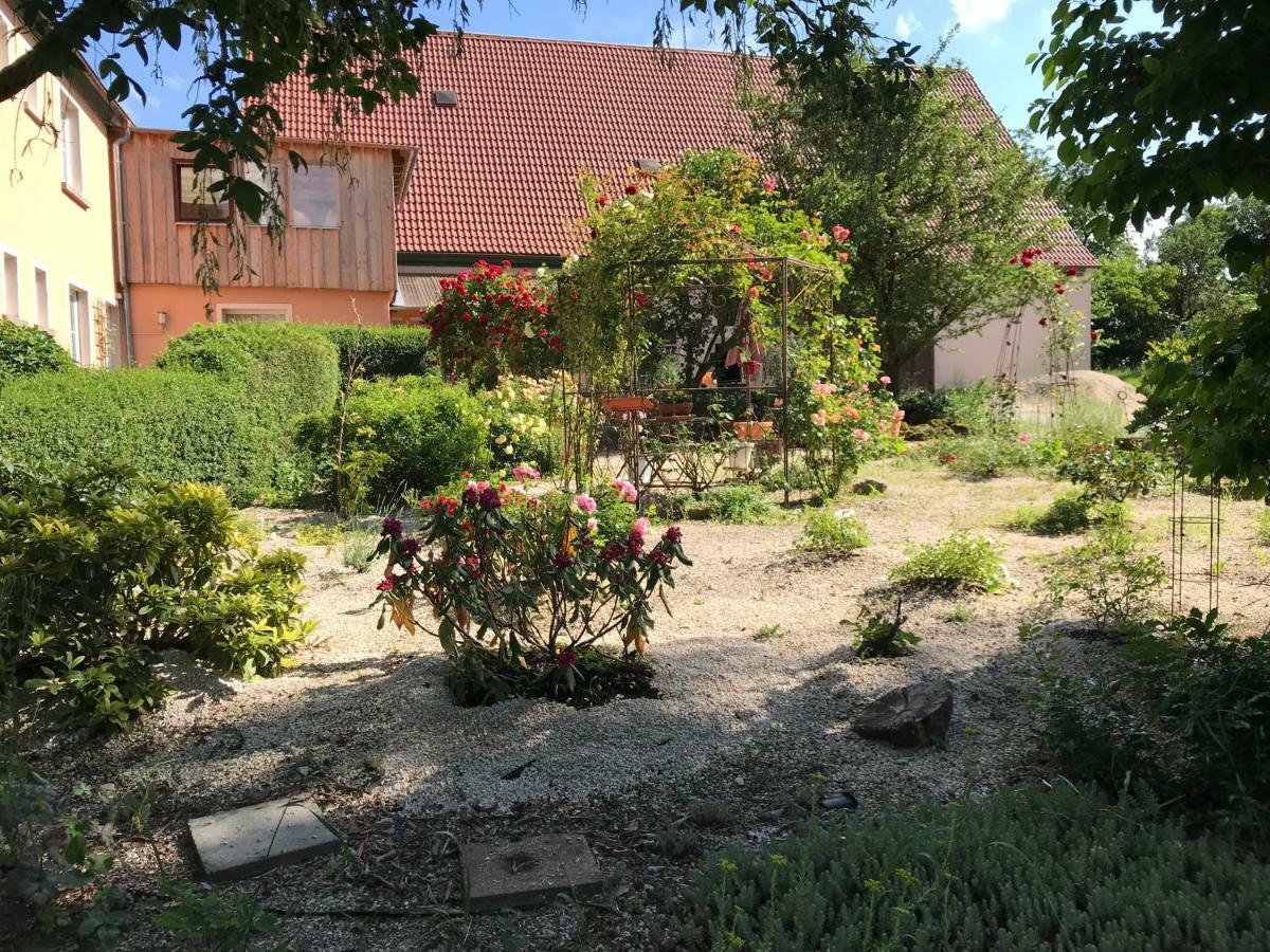 Appartment Ivonete Wettringen  Εξωτερικό φωτογραφία